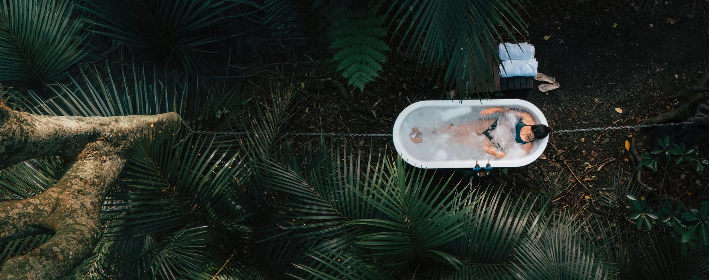 headerImage